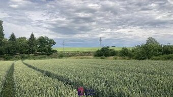 Prodej pozemky pro bydlení, 1 379 m2 - Radostice