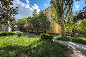 Pronájem, byt 2+1, 61 m2, Chomutov Kamenná ul., ev.č. 00611