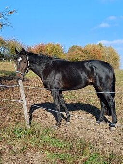 Valach A1/1 - 1