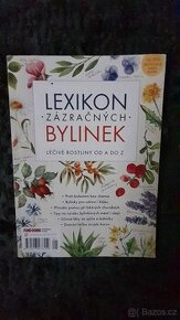 Lexikon bylinek