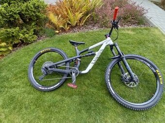 Canyon Neuron / Spectral