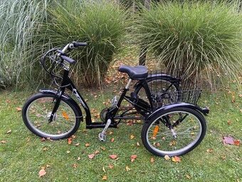 Elektrická tříkolka Easybike Auriga NOVÁ + ZÁRUKA