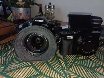 Panasonic TZ 99 Canon 1100D