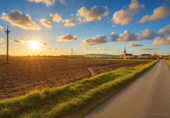 Prodej, pozemek 1 325 m2, Cholina - 1