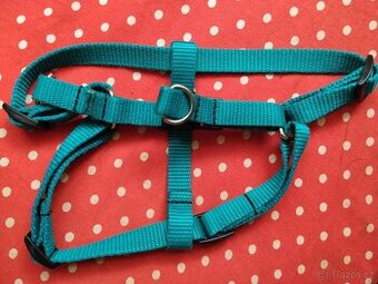 Tyrkysový postroj pro malé plemena psů /dóza na 2 kg granulí