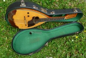Krásný nástroj s pouzdrem. Loutna mandolína. Z orchestru.