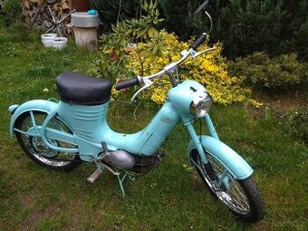 Jawa 550 Pařez