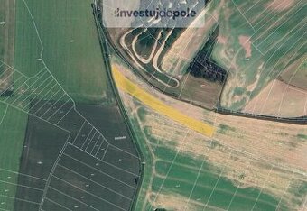 Prodej pole v k.ú. Dobřichov - 1