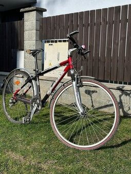 KOLO ACSTAR FLORIDA SX