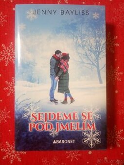 Jenny Bayliss: SEJDEME SE POD JMELÍM