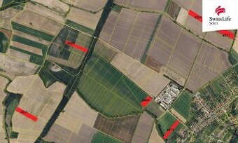 Prodej pole 75919 m2, Knínice - 1