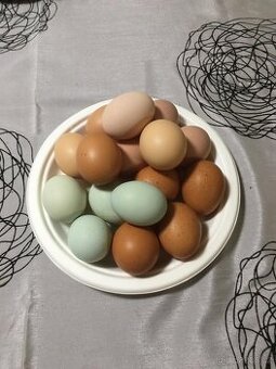 Domácí slepičí vajíčka