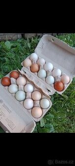 Domácí vajíčka vejce