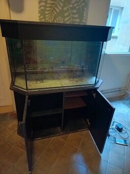 Terarium/akvarium/paludarium