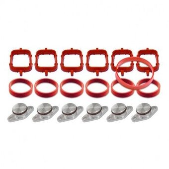 Záslepky vířivých klapek 22mm BMW + těsnění na sání