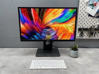 Profesionální 23" monitor Dell P2317H - FullHD IPS 1920x108