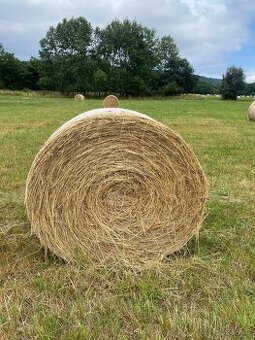 Balíky sena 125cm ekologické nezmoklé