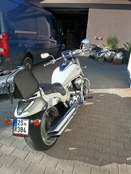 Suzuki intruder
