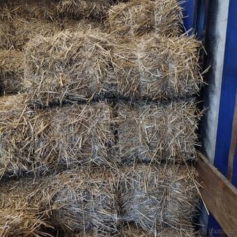 Prodám malé hranaté balíky pšeničné slamy