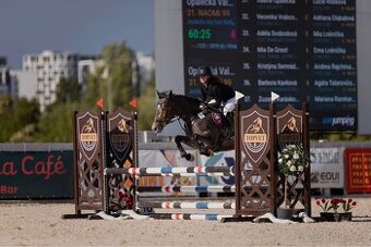 Perspektivní pony klisna do sportu