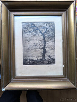 Starý obrázek,grafika 50.léta,podpis autora,číslo série,orig