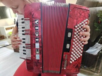 Akordeon Delicia junior