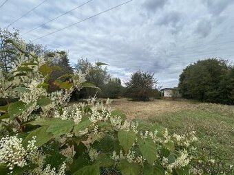 Prodej zahrady, oblast Rybáře, Hodonín, zahrada v obci Hodon