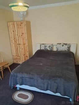 Prodej družstevního bytu 1+1, Nový Bor