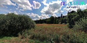 Prodej, Pozemky - trvalý travní porost - Opatov, ev.č. 00402