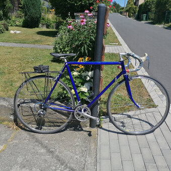 Závodnička