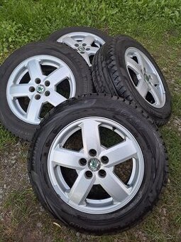 Alu kola 5x100 Octavia,Fabia,Roomster,Rapid 195/65 R15