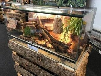 Terárium 120x40x40 s australským pozadím