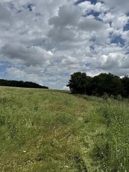 Prodej pozemku k.ú. Labutice (3)