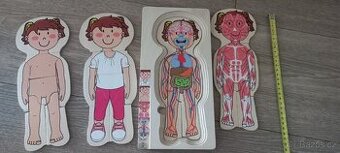 Skladacka puzzle lidske telo
