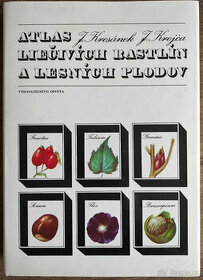 Atlas liečivých rastlín a lesných plodov - 1