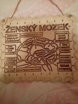 Prodám obrázek ženský mozek