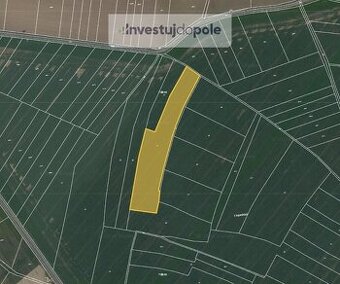 Prodej pole v k.ú. Podlažice