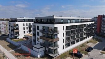 Pronájem, byty/2+kk, 60 m2, Železná 3061/12, Jižní Předměstí