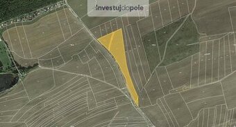 Prodej pole v k.ú. Kralovice u Rakovníka - 1