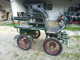 Kočár, wagoneta , pony , koně