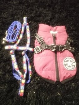 Set na štěňátko pejska