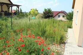 Sekání trávy křovinořezem a sekačkou v Žatci.