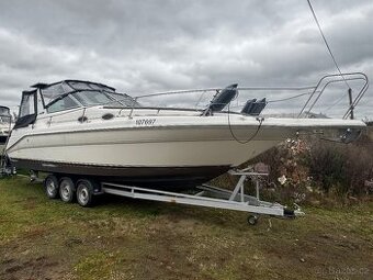 Sea ray 290 Sundancer