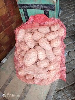 Konzumní brambory Marabel