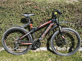 Horské kolo, Bergamont