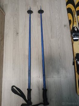 Dětské sjezdové lyže Salomon Axecleaver Team 101 cm + běžky