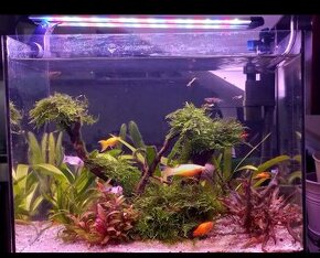 Akvarium 38l