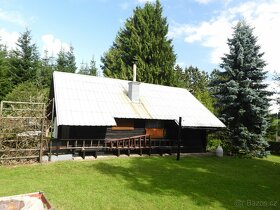Prodej chalupy ve Strážné u Lanškrouna 50 m2, pozemek 1 047