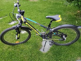 Leader Fox Junior 24"