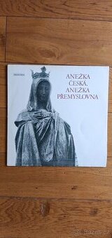 vinyl Anežka Česká